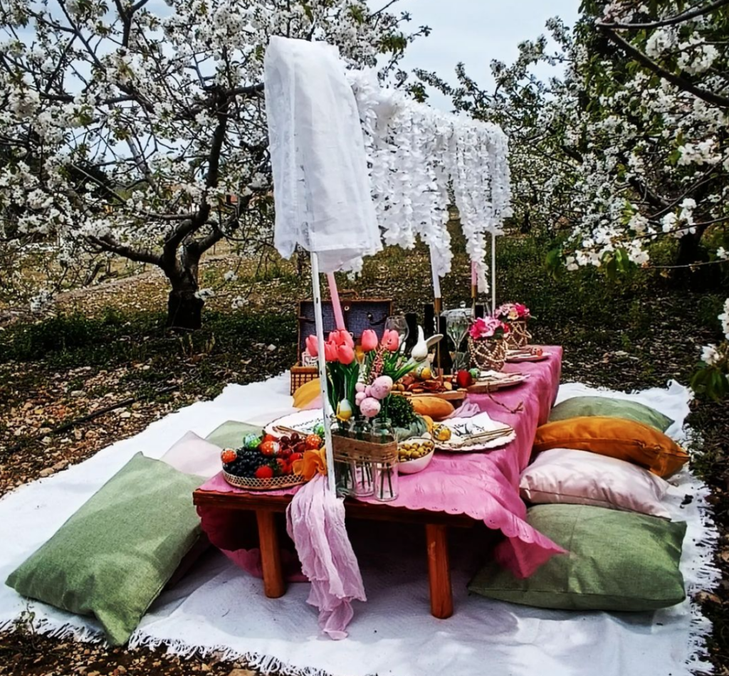 Picknick in Turia Park